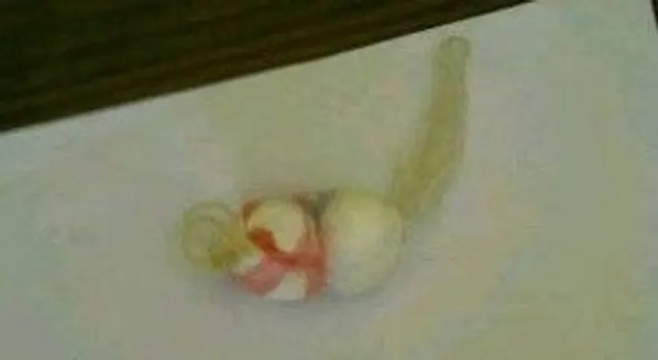 Mujer intenta llevar droga a cárcel dentro de su vagina