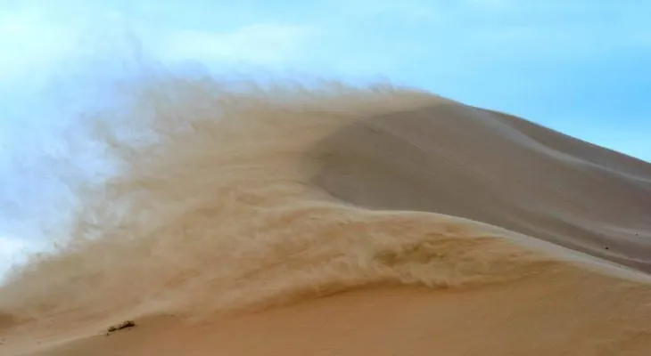 Polvo del Sahara: qué es este fenómeno y cómo afecta al mundo