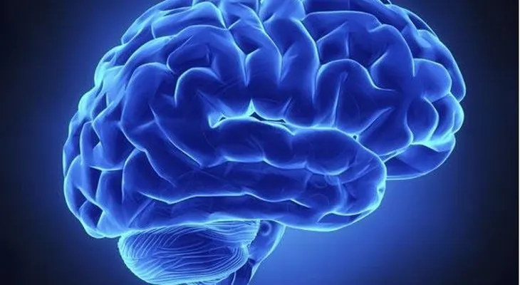 Hallan una nueva forma de transportar eficazmente fármacos al cerebro