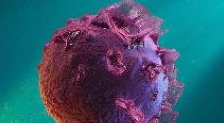 Mitos y verdades sobre la mononucleosis 