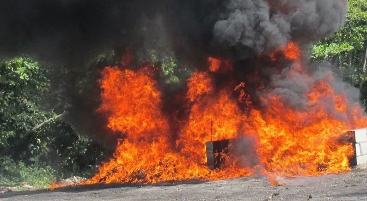 Procuraduría incinera 115 kilogramos de drogas decomisados en varias zonas del país
