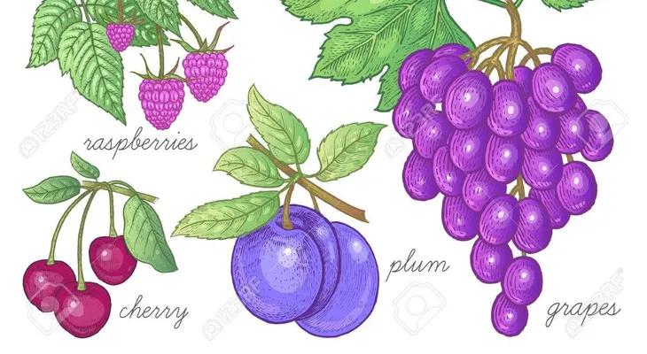 Las uvas, cerezas, frutos secos, arándalos y otros alimentos que tienen anticoagulantes aumentarían posibilidad de vida de pacientes graves de coronavirus