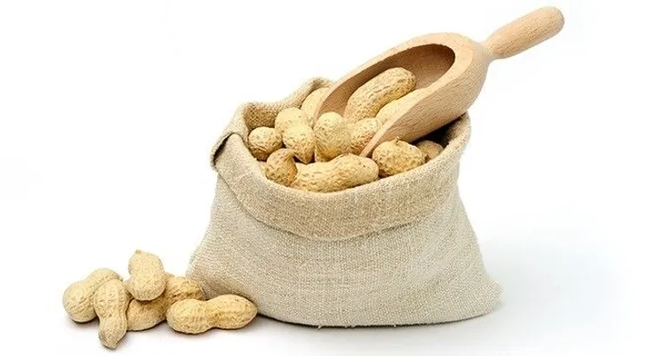 El maní es una maravilla de la naturaleza: 16 beneficios y propiedades