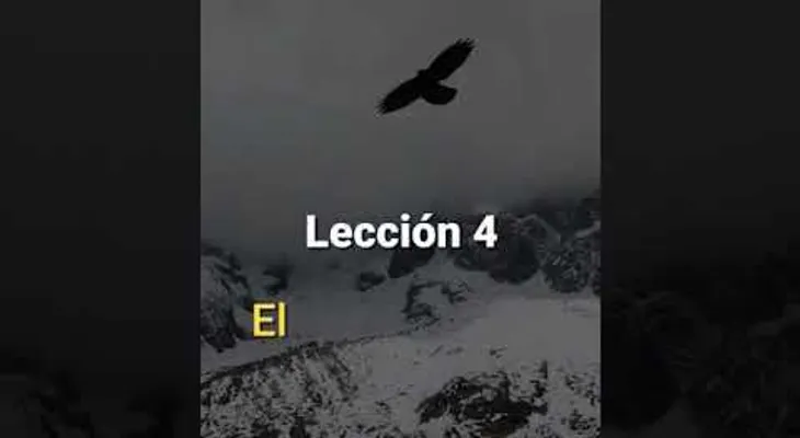Los 7 principios de liderazgo que puede aprender de un Aguila