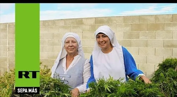 Unas monjas quieren curar al mundo con marihuana (VIDEO)