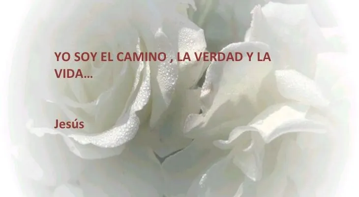 Rosas para el alma  Yo soy.
