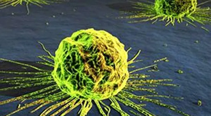 Uno de cada seis cánceres está causado por bacterias y virus