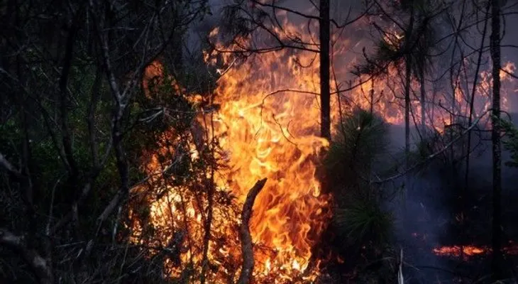 En Valle Nuevo aún arden las llamas