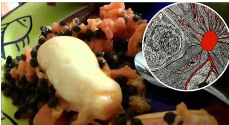 Como preparar un jarabe de semillas de lechosa que mata cualquier parasito intestinal