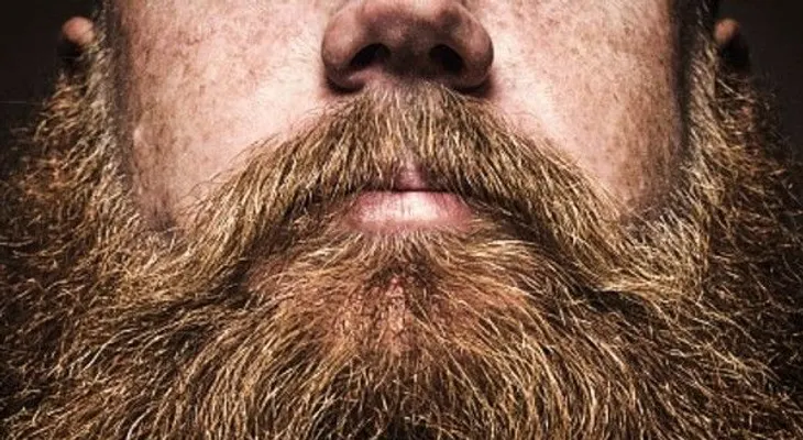 Las barbas acumulan una gran cantidad de bacterias
