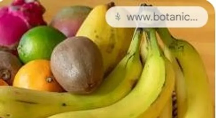 The Best Superfood to Care for Your Kidneys