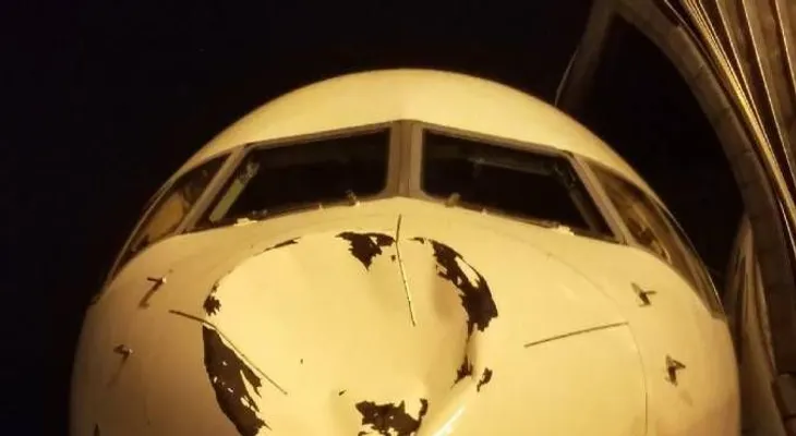 El avión que llevaba al Thunder choca con pájaro en pleno vuelo 