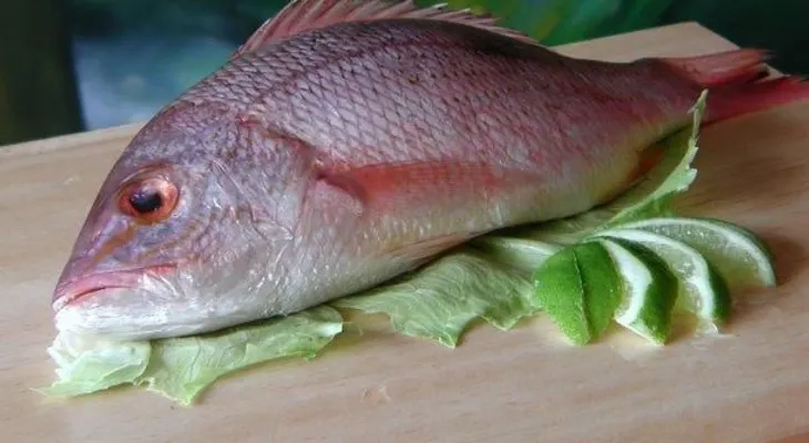 Comer pescado ayuda a la cicatrización rápida de heridas