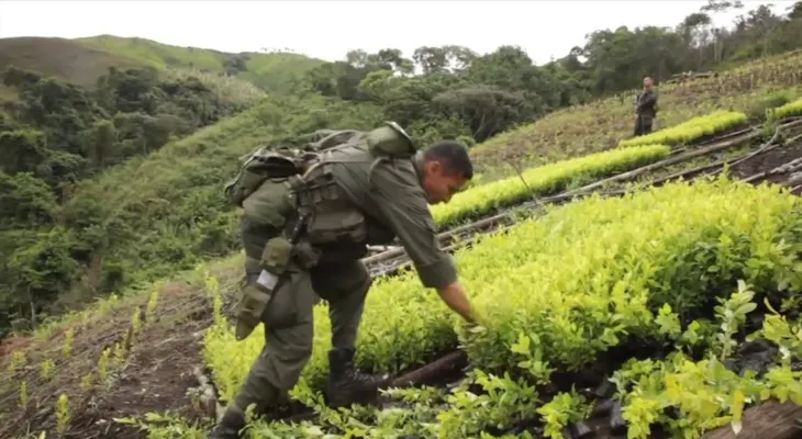 El Clan del Golfo: la nueva generación de narcos poderosos de Colombia