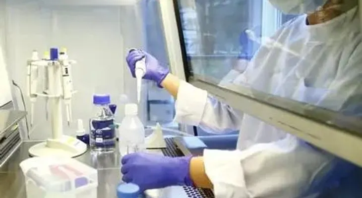 Científicos crean un anticuerpo monoclonal que puede derrotar al coronavirus 