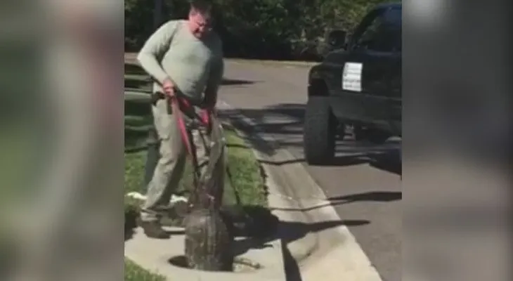 Escalofriante batalla entre un hombre y un cocodrilo