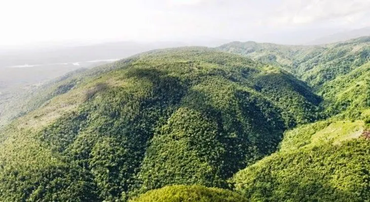 PRSC pide a Danilo promulgar ley declara parque nacional a Loma Miranda