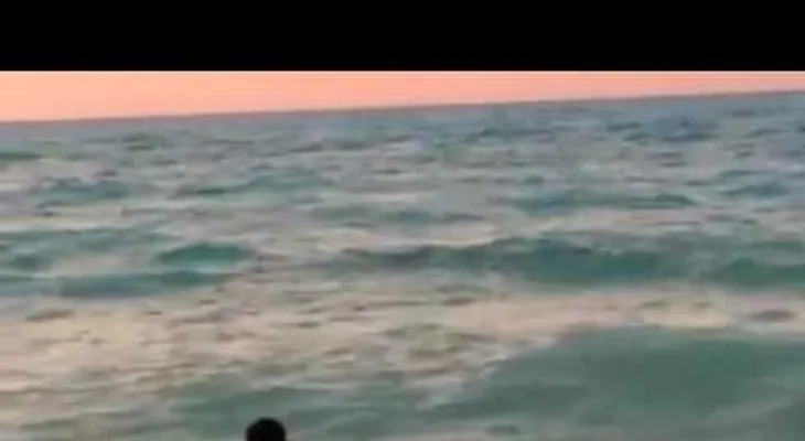 Una ballena gigante asombra a los turistas en las playas de Alejandría