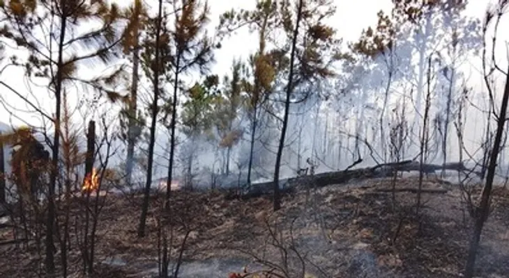 Unos 70 brigadistas combaten incendio reactivado en Valle Nuevo