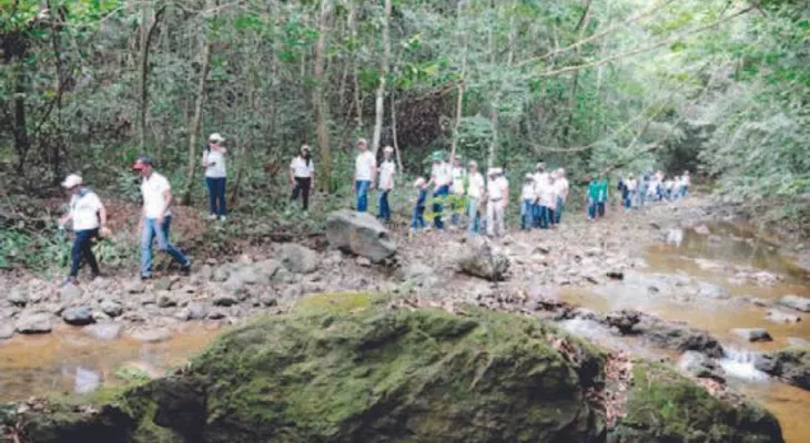 Voluntariado Bancentraliano reforesta en Río Ozama