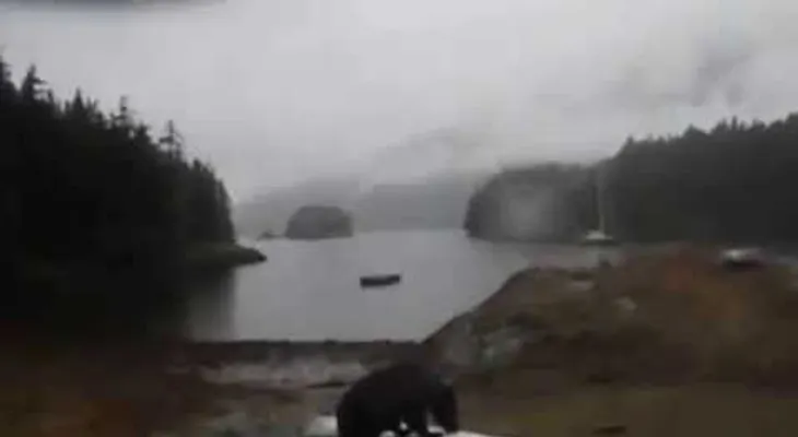 ¡Oye, no te comas mi kayak!: una joven le ruega a un oso que empiece a hibernar