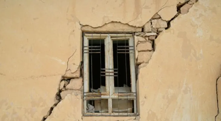 Video: descubren bacteria capaz de lograr edificios se reparen a sí mismos
