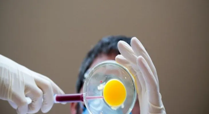 La nanotecnología permitiría que nuestra comida sea más saludable y con más gusto 