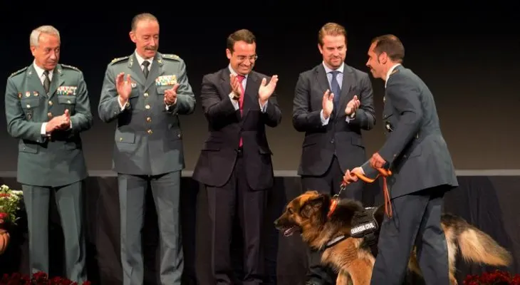 España premia a perro policia por su valentía