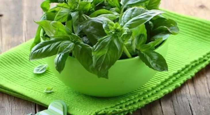 2 remedios naturales con albahaca