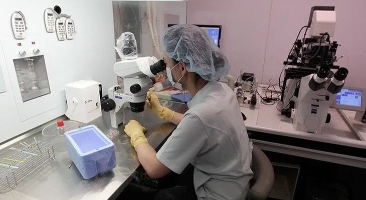 Un estudiante chino descubre por qué los médicos no vencen el cáncer