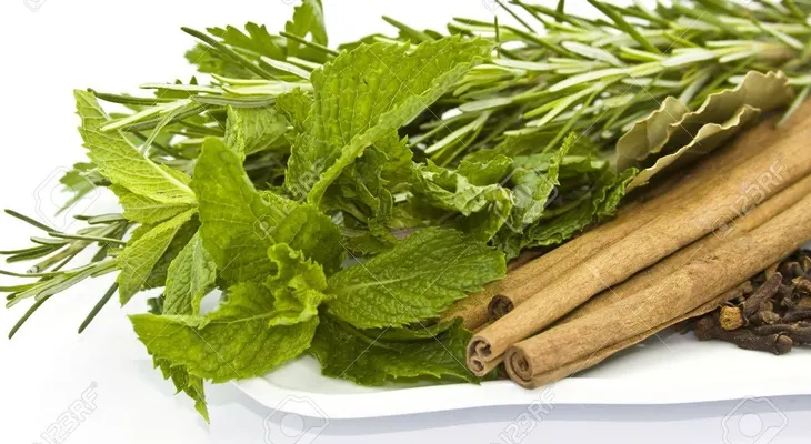 Para que sirven estas hierbas: Romero, Canela, Albahaca y Laurel