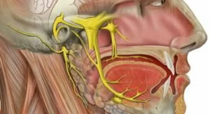 Cómo tratar la neuralgia del trigémino