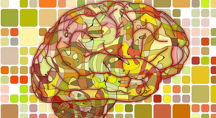 Batalla contra uno mismo: Nuestro cerebro sabotea los intentos de eliminar los malos hábitos