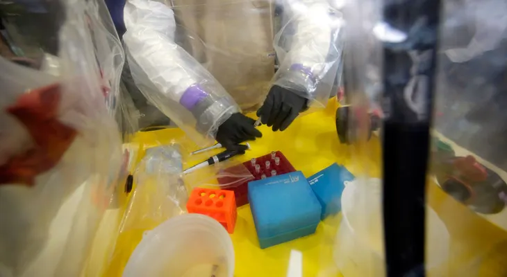 Dos muertos en Uganda por fiebre de Marburgo, virus similar al ébola 