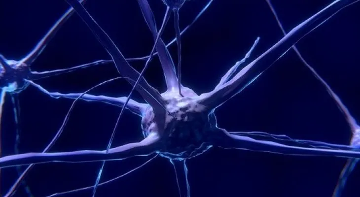 El optimismo ayuda al bienestar cerebral, y hacer dos cosas a la vez entorpece la productividad