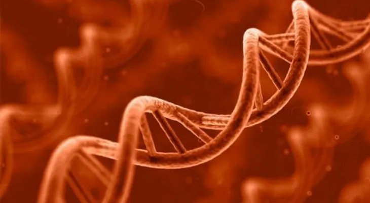 Genes del síndrome de Down da pistas sobre la causa de la diabetes del tipo 2