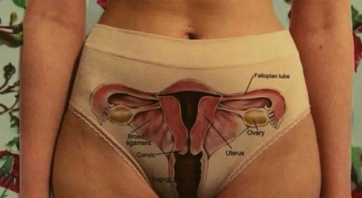 9 datos curiosos sobre la vagina