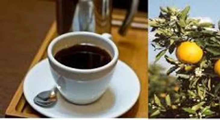 Nada es más efectivo que una naranja agria con café amargo para bajar el colesterol