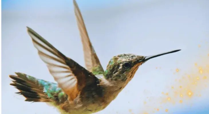 El significado de que un colibrí visite tu casa