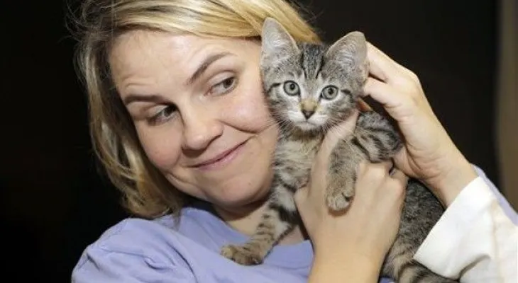 Uber envía gatitos a quienes quieran caricias