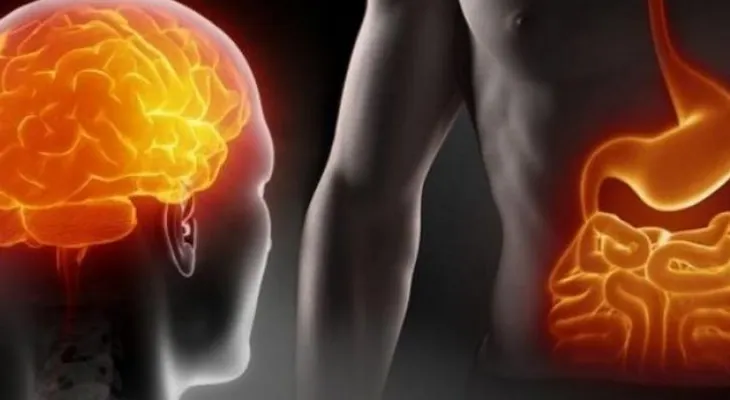 ¿Sabías que nuestro "segundo cerebro" no está en la cabeza, sino en el vientre?