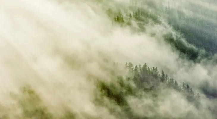 ¿En qué consiste, la llamada "niebla COVID"?  