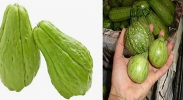 Di no a la diálisis, no pierdas tus riñones: regenéralo con este remedio natural