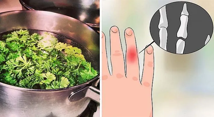 Observa que le pasa a tu cuerpo cuando toma te de perejil con limón y miel?