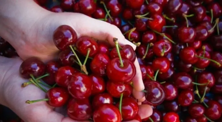 Las cerezas pueden solucionar problemas de hipertensión