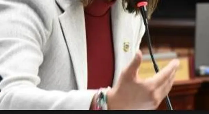 Faride Raful somete al Congreso un plan de amnistía para deudores del Impuesto sobre la Renta 