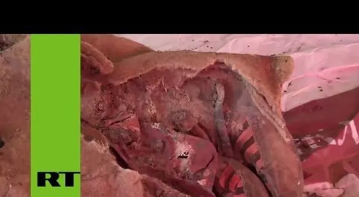 Revelan la causa de muerte de la milenaria momia con zapatillas Adidas (VIDEO)