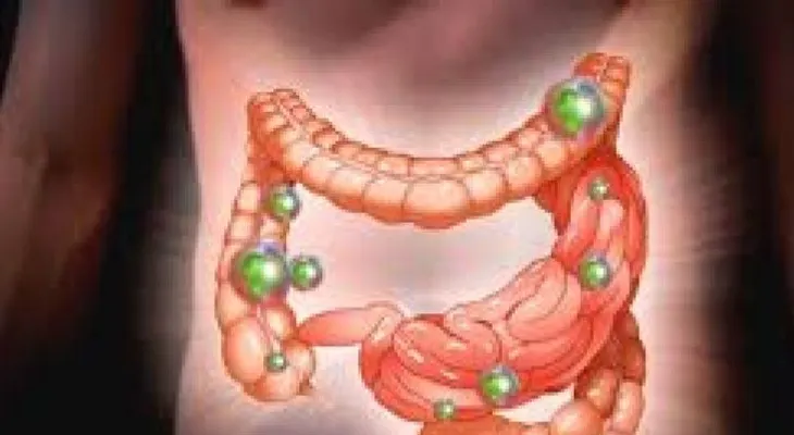 Las bacterias intestinales existen antes que el ser humano