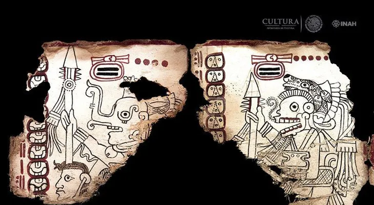Confirman que el Códice Maya de México es el manuscrito legible más antiguo de América