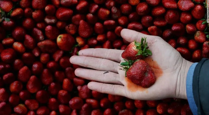 Las fresas son de nuevo, la fruta con más pesticidas en 2018